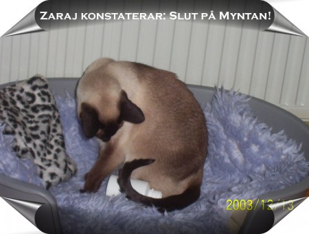 Min Zaraj